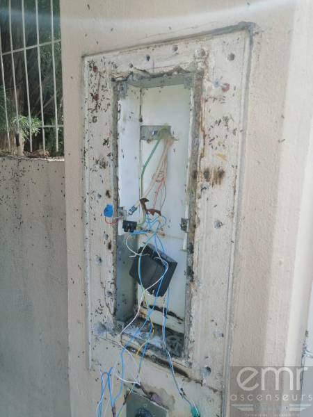 emr ascenseurs - nid de fourmis