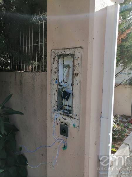 emr ascenseurs - nid de fourmis