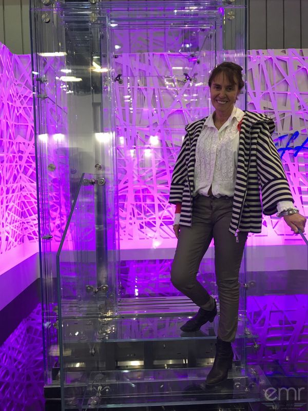 Sylvie WOHLGEMUTH ascenseur transparent